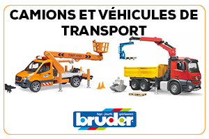 Bruder Travailleur Communautaire Avec Accessoires