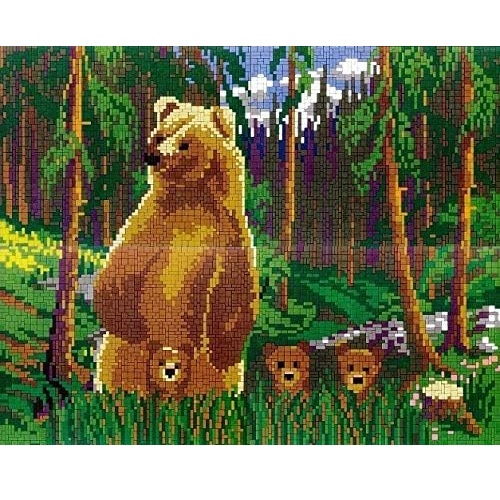 41294
