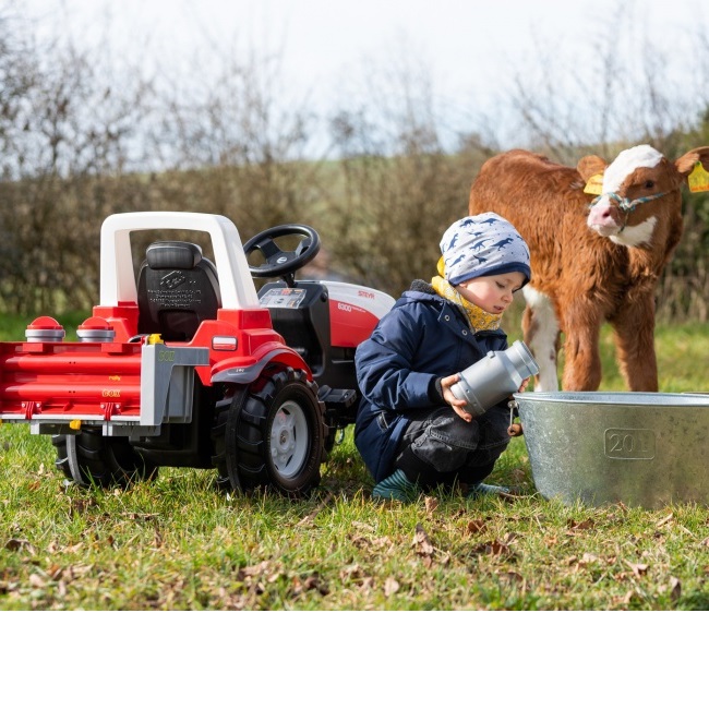 Rolly Toys Rolly Toys RollyBox avec 4x bidons de lait