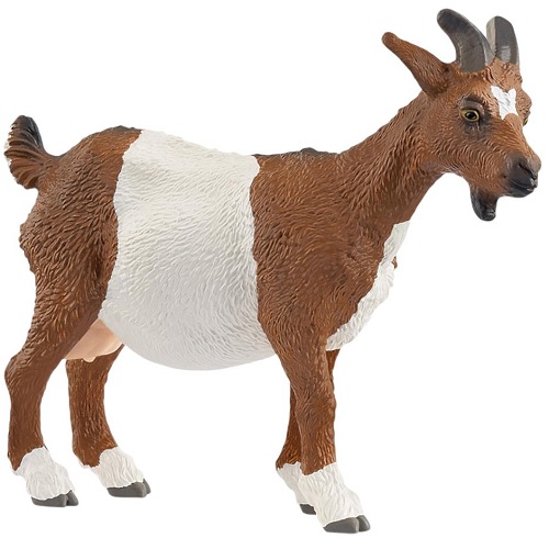 Schleich paarden 14887 Schleich 14887 Farm World geit De Geit ziet er heel mooi uit met zijn witbruine vachtkleur. Ze heeft een witte, stervormige vlek op haar donkere voorhoofd. Net als een opvallende si...