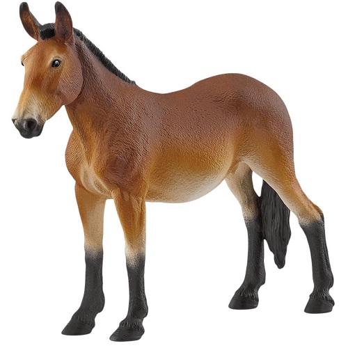 Schleich paarden 14889 Schleich 14889 Farm World Muilezel Wat een mooie Muilezel! Hij heeft een bruine vacht, die steeds lichter wordt op de buik, en zwarte poten. De korte, sterke manen zijn ook zwart. De la...