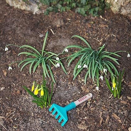 Theo Klein Theo Klein Râteau Bosch