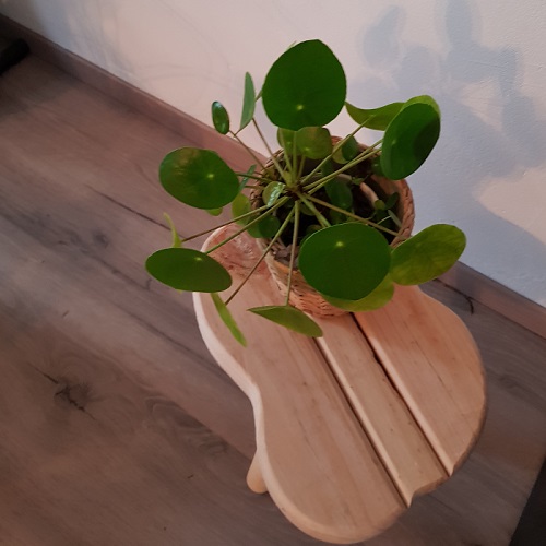 MadetobedifferentNL Tabouret végétal en bois au design ludique en poutres recyclées, environ 35x25 cm, hauteur environ 30 cm.